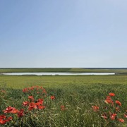 Ancha es Castilla. IX edición