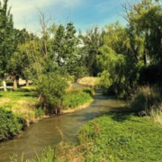 Jiloca